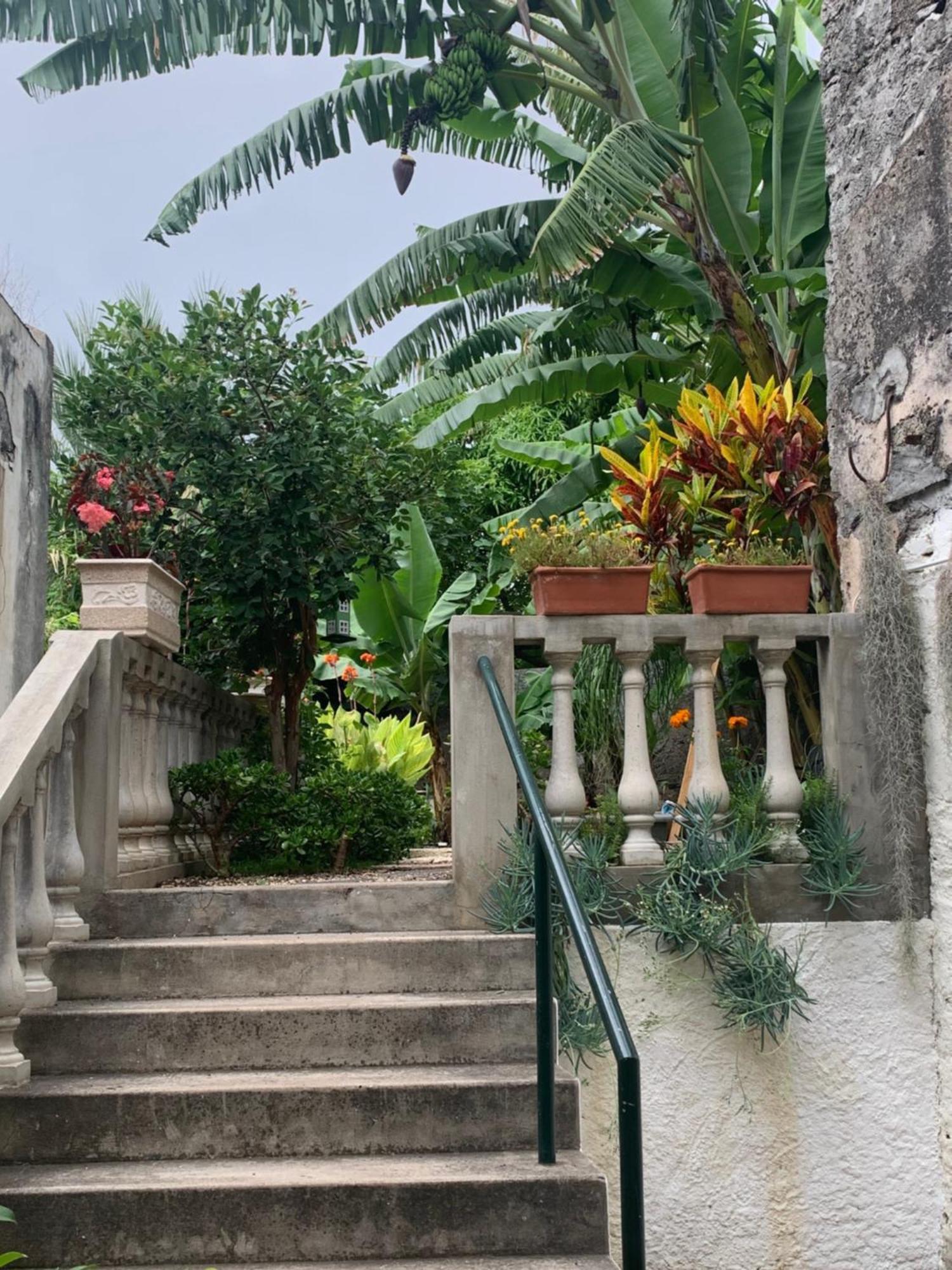 Vitorina Corte Guesthouse Funchal  Bagian luar foto